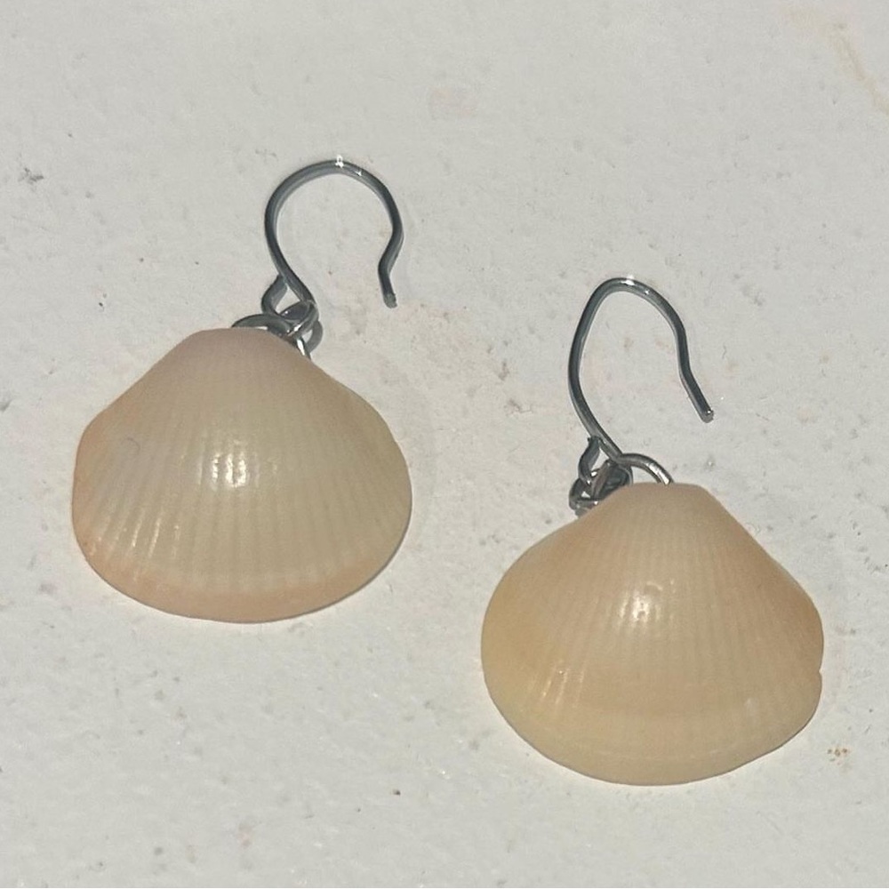 sea shell earrings